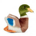 Animigos - Mallard Duck - World of Nature