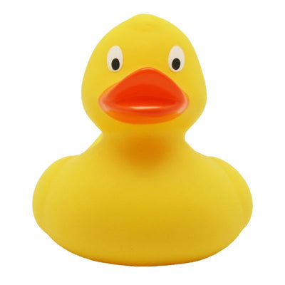 Coloured Ducks| Shop4Ducks